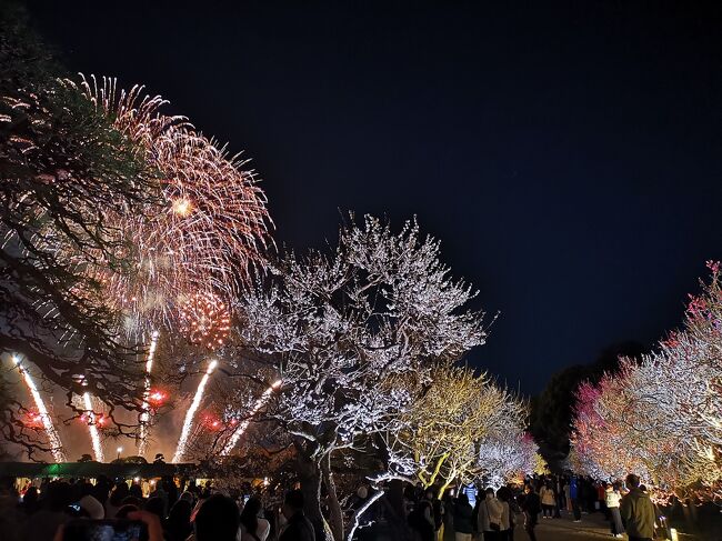 青春18きっぷで茨城県の袋田の滝と、那珂湊のおさかな市場と、水戸偕楽園のお祭り「夜・梅・祭2023」へ日帰りで行ってきました。<br />梅のライトアップと、花火が大変美しい旅行記です。