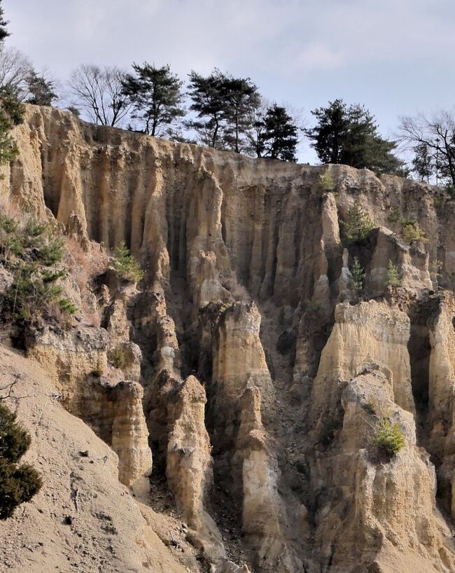 正月最初の旅行は徳島へ．この間忙しくてブログ作成が遅れている．<br />1915　NH287便で<br />いき，ホテルサンルート徳島に泊まる．サンルートはどこでも同じようなつくり．広いベッドに簡単なソファと机，朝食も含めコスパはまあまあと思う．朝食も比較的種類が多い．翌日はゆっくり徳島駅前のニッポンレンタカー営業所を1000過ぎに出発．吉野川市を通り，国道192号線，県道125号線，県道2号線などを通り阿波の土柱へ．最初は大したことないと思っていくのはどうしようかなと思ったが，なかなかの景観．観光客も一組あったきりで少ないし，行って良かった．そこから今度は県道3号線から国道192号線を美郷の山へ．高開の山村の素晴らしい石積みを見る．しかしすごい山奥だった．ここで生活するのは大変だったろうな，またよくこれだけ石を積んで家や畑にしたものだ．すごいねえ，美郷物産館で日替わり定食　なんと安い800円！素朴なそばでおいしかった！これから国道193号線の険しい山越えだ！