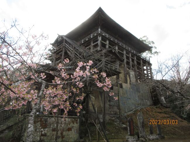 【笠森寺（かさもりじ）、通称笠森観音（かさもりかんのん）】<br /><br />千葉県長生郡長南町笠森302　、<br />Tel：0475-46-0536、<br />公式サイト　http://kasamori-ji.or.jp/<br /><br />笠森寺（かさもりじ）は天台宗別格大本山の寺院で、坂東三十三観音第31番札所になっている。<br />笠森寺の寺伝によれば延暦3年（784年）に最澄（伝教大師）が楠の霊木で「十一面観音菩薩」を刻み、山上に安置し開基したと伝えられている。<br />古来より巡礼の霊場として知られており、十一面観音像が本尊であることから「笠森観音」と通称される。<br />それを代表するのが観音堂だ。<br /><br />駐車場：50台（無料）<br />拝観料：大人300円・小人100円・・・御堂や山林の維持のため。<br />拝観時間：4月～9月、午前8:00～午後4:30、<br />　　　　　10月～3月、午前8:00～午後4:00<br /><br />お正月の初詣で人々が参詣される様子をTVで度々見ていて、一度は行ってみようと思っていた。３月3日桃の節句、勝浦の雛まつりを見に出かけたこともあり、その帰途に長南町（ちょうなんまち）にある古刹、笠森観音に立ち寄った。<br /><br />尚、笠森寺（かさもりじ）のさくらの時期は3月下旬～4月上旬に盛りを迎えるとの事だ。<br /><br />写真は笠森寺（かさもりじ）、一般に笠森観音と呼ぶが、それを代表する観音堂。<br />