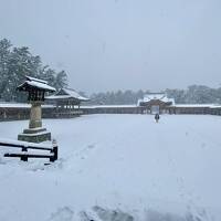 大雪の新潟！一泊二日 2022.12月「杉山清貴バンドツアー2022」(後)護國神社/大雪の怖さを知らないって無謀ですね～