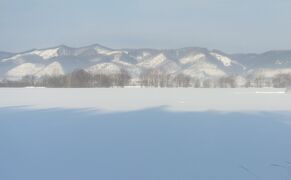 野生動物との戦い　釧網線