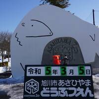 旭山動物園と旭川グルメで隠し酒に出会う旅