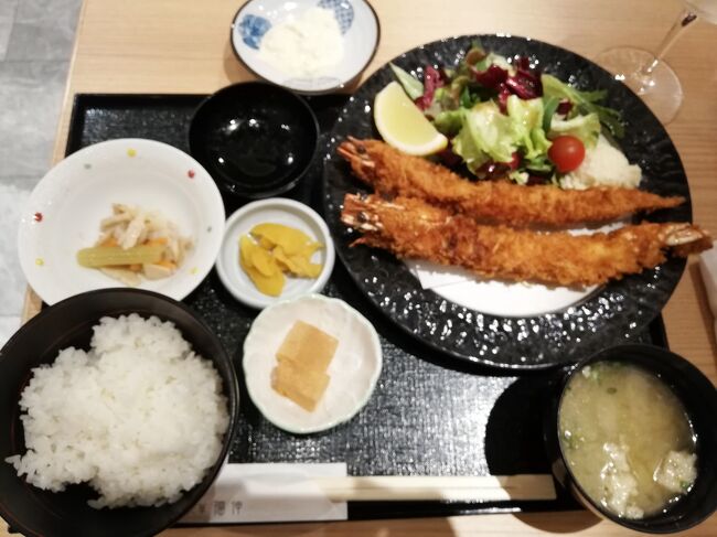 猫の日です。<br />熊本市内から天草の某所までの日帰りバスの旅。本日が最終日となりました。<br /><br />ホテルはザ・ニューホテル熊本ですが、もともと2月21日から天草へ行く予定にしていたところ、急遽19日からに変更した次第。21日のザ・ニューホテル熊本の予約はそのままにしていたのですが、部屋のタイプが違うということで引っ越しとなります(部屋に荷物を置いておいたら次の部屋に運んでくださるとのこと)。