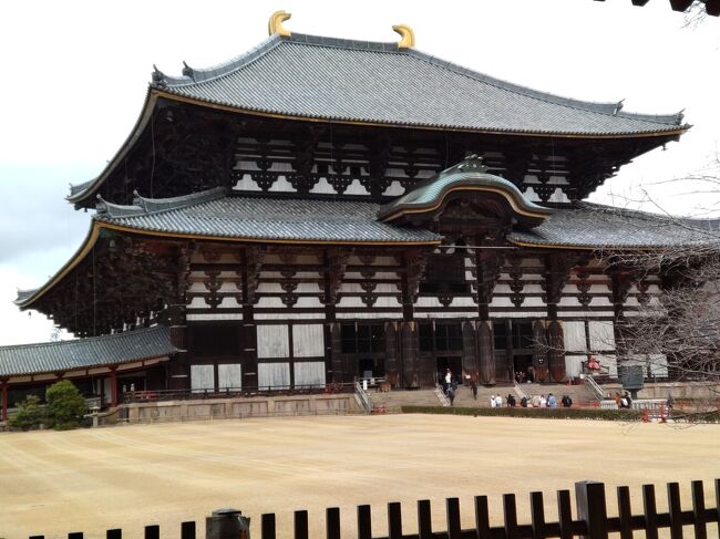 数年ぶりの奈良の旅、世界遺産が多く歴史の足跡を訪ねて観光と見学しました。鹿がいる東大寺の参道に霙が降る中の見学で寒かったです。