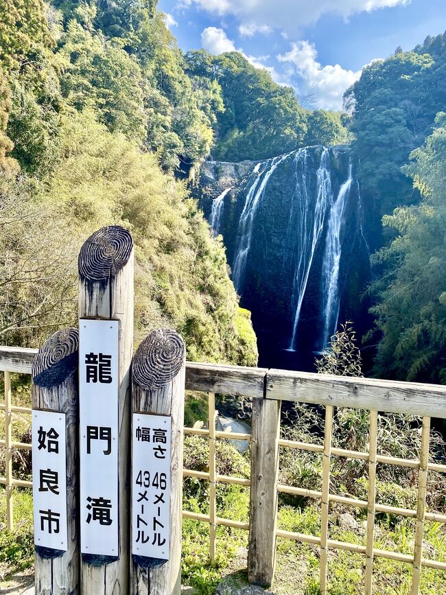 鹿児島県姶良市加治木町にある龍門滝の駐車場からスタートし、大河ドラマ「せごどん」「篤姫」「龍馬伝」のロケ地 龍門司坂・金山橋を巡り、ランチは宮崎あおいさんも立ち寄ったという十割蕎麦『野菊』で頂いてから、駐車場まで戻る周回コースを歩いてみました。道中では紫陽花の新芽が芽吹き始めていました。