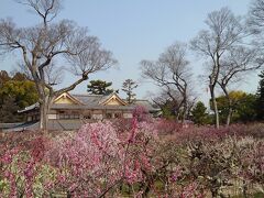 北野天満宮「花の庭」を訪れる