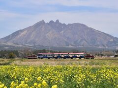 春の南阿蘇鉄道2021～菜の花と桜が彩る南郷谷を走るトロッコ列車、1000号記念～（熊本）