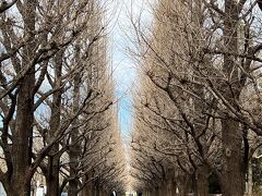 【2/21～】秋葉原、青山、乃木坂、横浜へ… 移動が多い出張