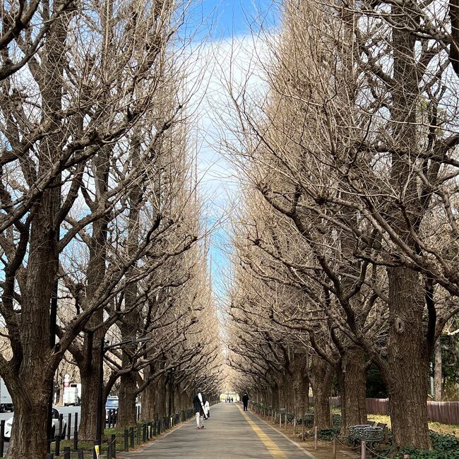 大阪→秋葉原→青山→豊洲→神奈川→大阪と移動が多い出張に出かけることになった。<br />ここぞとばかりに移動先で何を食べるか、何を見物しに行くか、そんなことばかり考えて出張の日を迎える。