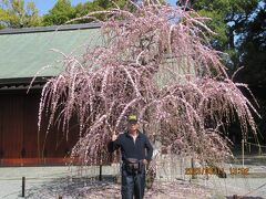 勅なればいともかしこし鶯の宿はと問わばいかが答えん。