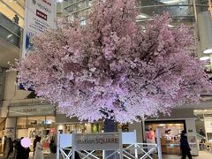 4年振りTOHO高校同級生との集まりat表参道