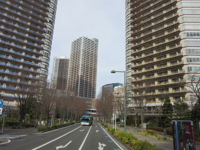 前回の深大寺散策の旅行記にも書きましたが、2022年12月に左肩鍵盤筋の手術を行いました。損傷個所の経過はいたって順調なのですが、発症から手術まで半年以上左肩を庇っていたため、周辺の筋が硬くなってしまい現在は週一程度リハビリに通院しています。<br />ローテーション勤務者のため午後出勤日に通院日を当て込み通院後に出勤していますが、予約の関係で出勤まで時間が空くことがあります。<br /><br />縁あって手術は武蔵小杉にある関東労災病院で実施（当然リハビリも）そして現在の職場は原宿です。リハビリ後に出勤する場合は東急東横線で30分足らずですが、今回時間があいたので散歩がてら武蔵小杉から目黒駅まで歩いてみました。途中にはアーケード商店街が有名な武蔵小杉があります。<br /><br />ところで私は子供の頃、武蔵小金井が最寄り駅でした。「武蔵小金井」出身者が「武蔵小杉」と「武蔵小山」を一度に巡る事となりました（笑）<br />期せずして「ムサコ」と呼ばれる地域の比較検証？となりました<br /><br />※つたない文章＆写真ではありますが、是非最後までお付き合いください