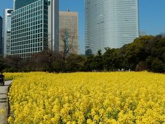 「　将軍様のお庭・ 浜離宮恩賜庭園 　春をさがしに　さんぽ　　」　2023