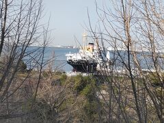 春の鎌倉と横浜、観て食べて散歩する旅