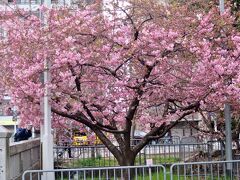 月一京町散歩（3月）平安京散歩「一条大路」