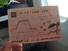 妻に連れられ、ホテルホッピングin大阪①　JL117便 東京（羽田）～大阪（伊丹） 往路フライト編