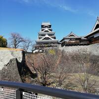 鹿児島から熊本へ熊本城見学旅行、市内観光―3日目