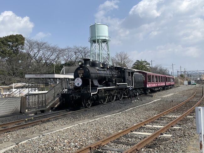 全国旅行支援を使って京都２泊３日の旅行。<br /><br />計画する時間がなくて、その日その日いきあたりばったりの旅行。<br />京都鉄道博物館には行こうと思っていたのですが、朝早く起きれたので、<br />嵐山まで足を伸ばしてみました。<br /><br />嵐山：トロッコ列車、竹林の小径、野宮神社、渡月橋<br />京都鉄道博物館<br />大阪：りくろーおじさん、551肉まん、たこ焼きわなか、金龍ラーメン <br />（食べてばっかり）<br /><br />いつもは御堂筋近くのカプセルホテルに宿泊するので、大阪だとつい深夜まで食べ飲みしてしまう。<br />今回は京都まで帰らなくてはならないので、早めに切り上げました。<br />大阪は食べたいものがたくさんあって困る！