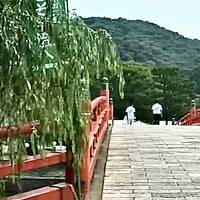 京都宇治の旅　平等院 宇治上神社(回顧録)