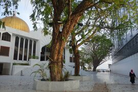 香港からのモルディブ・スリランカ遠征 (1-11･完) マレを朝散歩⑧ マレの見所の一つ、"Grand Friday Mosque" ！