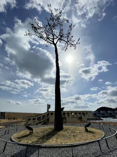 東日本パスで行く三陸・岩手ふたり旅② 陸前高田の今を見る