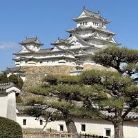 出張でドミ活はじめました！天然温泉 浪漫湯 ドーミーイン神戸元町に泊まって姫路城を見て帰る旅