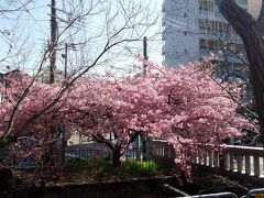 2023年3月☆京都１泊２日旅☆②下鴨神社～河合神社～晴明神社～錦市場