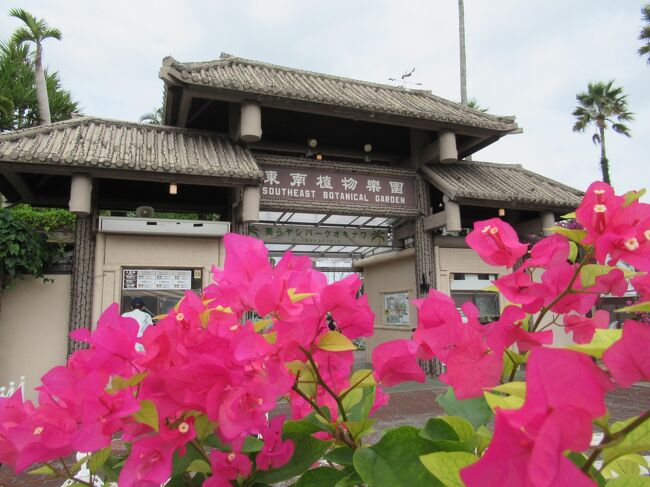 日本最大級の屋外植物園&#127796;美らヤシパークオキナワ「東南植物楽園」