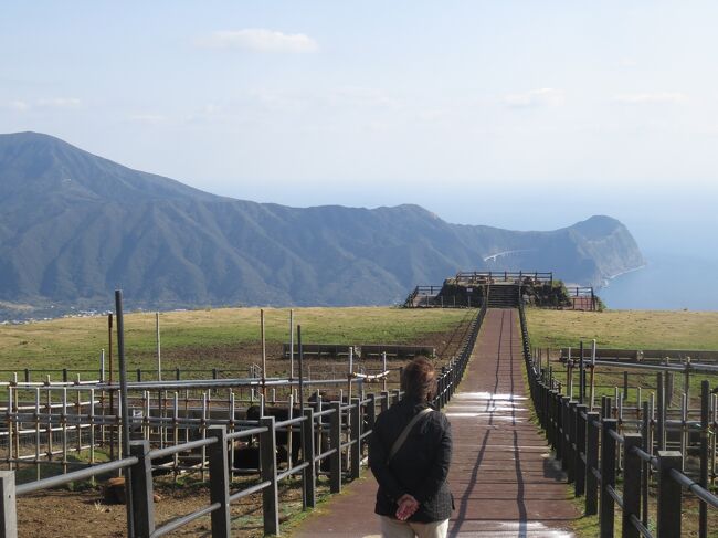 八丈島に３泊４日の旅をしてきました。<br />個人仕立の、全国旅支援を一切使わない旅です。<br />旅のおおよそは、次の通りです。<br />八丈島は、行政区分上、東京都に入り、令和５年での人口は、７千人小強の島、自動車の登録番号は、品川区の番号です。島を１周できる八丈島１周道路は、一部を除き、きれいに整備されています。一周道路沿いの公衆トイレもきれいに 整備され、定期的に掃除されているので、女性も、男性も気持ちよく使えます。公衆トイレは、主な観光スポットに、駐車場とともにあるので、トイレが近い人も、安心して旅できます。もちろん、稀に例外があるのは、世の常で、夕日のスポットとして知られている夕日ｹ丘には、トイレはありません。参考までに、八丈島旅行の一般的な注意事項のURLを記載しておきます。<br />注意！！！八丈島の夕日ヶ丘でしてはいけないこと | 離島で生活する兼業自然ガイドのブログ (forest-hachijo.com)<br /><br />八丈島は、小さな島なのですが、携帯の電波が届きにくい地域（ワイフのはS/B, 私のはドコモです。家族が、ほぼ全員、異なる携帯電話会社と契約しています。山とか海に行く場合、少々安全です）があるので、行動するときは、どことどこの地区に行くのかを足掛かりにして行動予定を組むと、突然、予定を変更するのに、同じ地区内の変更にとどめることができ、無駄な時間を使わなくて済みます。地区は５つあります。樫立（かしたて）、中之郷（なかのごう）、末吉（すえよし）。三根（みつね）と大賀郷（おおかごう）です。地区を紹介しているURLには、https://hasne.net/blog/2019/01/20/837/ があります。<br />このURLには、地区ごとに、主なスポットとかお店が記載されていますが、目的地をそうした分類でわけてメモすると、万が一、予定の変更が必要になったとき、地区内の変更にとどめるのか、次の予定地に移動する変更にするのか、移動の大枠を管理できます。<br />八丈島往復手段。　全日空の１日３便のうちの、第二便の１８９３便で八丈島に入り、帰りも３便のうちの第二便の１８９４便で千葉に戻りました。<br />私のＡＮＡマイルで、ワイフの分まで、往復航空券を取得できると思ったのですが、それは私の勘違いで、マイルがたらず、ワイフの分は、マイルで、私の分は、クレカで、一番安い航空券を購入しました。こうした場合は、二人の予約を別々にすることが必要になり、予約発券システムでの取り扱いがちょっと複雑になるので、予約、発券、そして、搭乗手続きでも、ちょっと苦労しました。例えば、搭乗者が違うのに、同じ日、同じ便の予約をしたので、システムから二重予約です、との案内がきたり、チェックインの時に、通常の方法では、予約記録がありません、との回答があり、「その他の予約」の検索で、特典予約データが出てくるなどの、ちょっと複雑な対応になりました。まあ、そんなこと、私ができないはずがないので、いろいろ、トライし、現金発券とマイルでの発券の旅も無事、卒業できました。ちょっとおもしろいのは、ANAの航空券を、JALカード（カードはマスターカード）で発券したことです。本人が面白と思っているだけで、別段変なことではありません。<br />席取りもワイフの席取りの後、私の予約データを開き、ワイフの席の隣を確保しようとしたら、ワイフの隣の席が、すでにアクセスできない状態（すでに座席が埋まっていたか、それとも私の航空券で座れる座席ではなかったのかは不明）になっていて、帰路便は、離れた席になりました。もちろん、すぐに座席指定を変更すればよいのですが、券種タイプにより、座れる座席が異なる場合があるので、そうした場合は、理由がわからないまま、席の並びを合わせるのは、特典航空券の良さを失わせることになる可能性があるので、短い距離のこともあり、帰路は、離れた席に座ることにしました。ただし、今回の旅は、短距離の旅であること、コロナの峠が過ぎていると思ったので、２席並びの時は、窓側２席並びにしました。<br />車は、前回の八丈島の旅と同じく、歩いても行ける八丈島カーセンターで軽を借りました。<br />道が狭く、わかりにくいところが多いので、２人程度であれば、軽が良いと思っています。ただし、借りた車は、ギャチャンジのレバーがハンドルのそばについていて、昔の車にも慣れているワイフにも、むずかしそうでした。電波が届かない場所もあるせいか、島自体の道路の広がりが大きくないせいか、車のナビ付は少ないのではないかと思っています。有料の高速道路はないので, ETCは、不要です。<br />宿は、民宿で畳のある部屋がある銀河荘にしました。以前の一人旅のときに宿泊したケンチャルマが良かったのですが、ワイフの希望の畳の部屋がなかったような気がしたので、今回は、別の民宿でも良いか、と銀河荘にしました。<br />私の感じたとおりに、両者の違いを言うと、ケンチャルマは、スキューバダイビングしたり、海釣りしたり、庭でバーベキューをしたりする旅に向いていて、銀河荘は、世界をバックパック姿で旅をし、自分と向き合い、自分を見つける旅に良いのかな、と感じました。<br />銀河荘には、宿のオーナーと言ってよいのかどうかわかりませんが、オーナーの生きてきた過去、現在、未来がいっぱいつまっているように思え、部屋のあちこちにある絵画、陶芸作品, 身に着け、部屋に飾ったりする小物作品を見ていると、いろいろな思いがわいてきます。１２歳以下の同行不可と書いてあるいは、そうした理由なのか、はたまた、違う理由なのか、宿のオーナーに聞くのを忘れました。<br />宿が旅の疲れをやすめるところという役割を主体としている宿、旅の目的にそって、必要な機能を提供している宿、ときに、稀な宿として、それぞれの旅人が、過去をどう生き、今とどう向き合い、これからをどうすごしていくのかなどを、考える空間と時間の機会を生み出してくれる宿などもあります。<br />例えば、八丈島で釣りを楽しむ人は、庭で魚をさばくことができ、さばいた残りの不要部分を処分するようなコンポストがあり、連れ立った仲間とバーべーキューをする場所が、ケンシャルマには、ありました。<br />一方、銀河荘には、前庭にでて、そこにあるチェアーに座ると、前方１０時から２時位の方向に海いっぱいがひろがる景色に浸ることができ、あるいは、心を全開することができます。いただくコーヒーが、一層、おいしくなります。<br />昔、子供の頃、庭の木の上に自分の居場所として、自分の隠れ家を作り、親に叱られたり、一緒に遊んで、ともに成長してきた犬の黒が死んだときなど、悲しい気持ちでいっぱいになったときに過ごした時のことを思い出しました。隙間がいっぱいの、決して隠れ家と言えない隠れ家を、自分の居場所として過ごした気持ちを、銀河荘の屋根裏部屋と言ってよいのか悪いのかわかりませんが、その部屋に入ったとき、何か、普通の宿と異なる思いが湧き出てきたことを感じました。<br />その部屋の天井は、大きく傾斜していて、布団から起きて立ち上がるとき、注意して立ち上がらないと、屋根を支える横木に頭をぶつけることになる程なのです。<br />分かっていたことなのに、ワイフも私も、３日のうちに、それぞれ、１回ずつ、頭をぶつけました。なので、私は、３日間を秘密の部屋に入ったような気持ちですごせました。<br />ワイフも部屋のこと何も言わず、「この部屋は、寝転がったとき、銀河荘で海が見える唯一の部屋なのよ」と言ってくれました。そう、寝転がらないと覗けないほどの、横広の、高さの低いガラス窓なのです。ホノルルのホテルのパーシャルオーシャンビルビューは、多くの場合、海が、ビル間の縦の隙間から見えますが、銀河荘のパーシャルオーシャンビューは、屋根のひさしの横広の隙間から海が見えました。<br />１１日の朝、宿をでるとき、海に面した庭で、海を楽しみました。オーナーが温かいコーヒーを出してくれ、コーヒーを飲みながら、いで立ちのひと時を過ごしました。ツアーでない、仕立の旅,は、その時、その時の思いで自由に動けるので、ツアーでは得られない、豊かな時をすごせました。<br />例えば、古民家カフェでは、広く開かれた３方の庭に輝く緑が楽しめ、そよ風にゆったりと揺れている、光に輝くやつでの緑に、ゆっくり過ぎてゆく時を感じることができました。ゆとりの牧場では、海に向かってなだらかにくだる小道を歩き、展望台にたって、四方の景色をゆっくりと楽しめました。２度目の見晴らしの湯は、ツアーバス客が行く時間をさけ、人が少なくなった休憩所で横になり、湯上りの身体を休めることができたし、クジラが見える時間になったときは、たって、窓際に行き、海をじっと見つめ、クジラの潮吹きを目印に、気長にクジラをさがすことができました。溶岩が続いている海岸では、溶岩の突端まで行き、打ち寄せる波をゆっくりの見て楽しめました。<br />数多くの猫がいる八重根港では、猫のえさやりに来た地元の人とワイフの会話がはずみ、３０分位、話が続きました。ワイフが「海が少し荒れていますね」と言えば、地元の人は「いえ、これは、風による波で、おだやかです」といい、猫たちの近くに住んでいるのかと思ったら、結構、港からは離れたところに住んでいるみたいで、話があちこちにとんでいました。ツアーでは、こうした地元の人との会話は、できないですよね。<br />滞在中は、宿のキッチンで自炊もできたのですが、９日の朝の朝食を宿に頼んだ他は、食事は、すべて外でとりました。<br />八丈島滞在中の３日間に訪れた場所は、八丈富士、ふれあい牧場、ユーユー牧場、見晴らしの湯、裏見ケ滝の湯（水着を用意していったけど、地元の人の話を聞いて、実際には、入浴しなかった）、ふれあいの湯（営業していなかった）、洞輪沢の湯（入浴後にやすめる場所がなかったので、入浴しなかった）、ザBOONの湯（営業していなかった）、安らぎの湯です。一時あるいはすでに営業していなかった湯もあったので、行く前には、確認が必要かと思います。なお、見晴らしの湯には、２度行きました。それぞれ、地元の人の意見も参考になりました。他には、フリージア畑、アロエ園（訪れていた人が一人もいませんでした）、植物園（キョンを見るために行きました）、底土海水浴場、八重根海水浴場、大坂トンネル展望台、登龍峠などです。スーパ―には、全日食チエーンのスーパーあさぬまと八丈ストアにいきました。海が荒れて、定期便が欠航するという予報がでると、フーパ―の生ものがあっという間に売り切れるので、欠航が多いシーズンの旅では、スーパーの所在位置を確認しておく必要があります。もちろん、飛行機も欠航することがあります。ホットスポットには行っていません。<br />往路は、昼時の飛行機を利用したので、お昼は、機内でとることにし、搭乗する前に、それぞれ、好きなお弁当を買い、シートベルトサインの消灯後、すぐに降下を始めてシートベルトサインが点灯するまでの、１０分ていどのわずかな時間で、それこそ、急いで、お弁当を食べました。お茶は、もちろん、機内でもらいました。<br />飛行機は、空気抵抗が少ない高度が良いのに、八丈島位の近場だと、程よい高さに上がっても、すぐに降下を開始しないと、空港を通り過ぎてしまうのです。なので、巡航高度での滞空時間が少ないのです。<br />滞在期間中、食事処は、梁山泊（リョウザンパク８日夕食）、銀河荘（９日朝食）、大竜（ダイリュウ、９日昼食）、イタリアン　パラディッソ（９日夕食、パラディッソは、島内で行ったレストランで、一番おいしかった、とワイフと意見が一致しました。銀河荘から歩いて行ける距離、にあります）、通（１０日朝食）、古民家カフェ（１０日昼食）、英凛（１０日夕食）、魚八亭（１１日朝食兼昼食）。帰路では、昼食の機内へ持ち込む食事は「なし」にしました。一休庵にも行ったのですが、休業日でもないのに店は閉まつており、通りがかりの地元に人にもわからず、翌日に見たときも、店はしまっていました。<br />明日葉をカリッと揚げた明日葉は、提供される店では、どこでも注文し、食べました。どこでも美味しかったです。英凛では、明日葉の天ぷらが入ったラーメンを注文しました。<br />ラーメンのスープは、さっぱりとしたスープでした、明日葉が入ったソフトクリームも２度も食べました。２度とも、食べたお店は、八丈島ジャージーカフエ（アサヌマスーパー隣接）でした。<br />アクセスで言えることは、多くの道が狭く、わかりにくく、ナビがついていない車での移動で、スマホのナビで行くと、「店」に案内されるため、駐車場に入るのに、また、一苦労というケースが多くありました。店の前に、駐車場案内がある場合は、それを見つけ、駐車場に向かうことが必要です。駐車場が店の門の近くにはない場合があるためです。<br />なお、八丈島の北側部分は、モバイルの電波が届かないか、微弱のところが多いのでナビの動きがわるいところが多いので、注意が必要です。<br />スコットランドでドライブしたときも、電波の感度がときどき悪くなったので、車のナビとスマホのナビを併用しました。スマホは、ＧＰＳが使えるので、携帯電波が届かなくても、位置把握はできるので、併用が良いことがあります。 <br />島で出会った動物は、クジラ（正確には、クジラの潮吹きと背ビレを遠くに見た程度）、場所は、見晴らしの湯の休憩所からで、日にちは、９日と１０日、方向は、１１時位の方向、時刻は、いずれも、夕刻の４時近くで、見えた時間は、数分程度です。　４時頃というと、ツアーの人たちがおおかたいなくなる時刻です。<br />クジラが見られるところでは、クジラの探し方の案内があるところがあるので、それを読んでおいて参考にすることが必要です。望遠で遠くのクジラをカメラに収めるのは、至難の業で、何度もトライしたけれど、成功しませんでした。<br />青ウミガメ、場所は、底土港で1度だけ。<br />猫は、港、観光スポットなど至るところにいます。食事ででも猫が近くにいることがおおいですが、食事頃の中には、入らないようです。千葉県の猫が沢山いるバラ園とは、違うようです。<br />猫は、ワイフが2匹、私が2匹飼っているので、外の猫と触れ合うのは、厳禁にしています。<br />ナイスショットを逃したのは、土底の近くの島内一周道路で、数匹の猫たちが１車線対向の道路をふさぐように並び、腰をおろし、夕日の方向を並んで見ている姿がありました。写真がとれたらナイスショットになったと思うと、残念です。<br />イタチも２度ほど見かけました。２度目は、底土の近くで、子供２匹のイタチが、道路でじゃれ合い、遊んでいるところでした。イタチは用心深いので、人や車があると、素早く姿を消すのが普通ですが、２匹は、見ている私たちに気づかないかのように、楽しそうに遊んでいました。<br />あとは、植物園にキョンを見に行き（キョンは、千葉県内で増え、被害も大きくなっているのに、わざわざ,見に行きました）。牧場にも牛を見に行きました。どの牧場でも、牛たちに触れないように、との注意書きがありました。ふれあい牧場は、風景もきれいだし、見晴らしも良いので、近くを通るときは、立ち寄りをお勧めします。どの牧場にも、子牛がたくさんいました。<br />宿については、昨年のホノルルでの失敗を反省し、ワイフには、事前に、「民宿にとまること」。「宿」は、銀河荘であることを話しました。民宿に泊まったことがないわけではないので、民宿自体には、抵抗がないのですが、「ホテル」のイメージの場合、ピンからキリまであるので、ヒルトンのバケーションクラブのスィートスルームと比較すると、落差が大きくなります。<br />今年も、沢山旅をするので、ゴージャスなホテルに宿泊するのは、ヒルトンとマリオットのホテルを利用するときだけ、その他の場合は、ケースバイケースの宿選びになります。<br />私たち夫婦の場合は、数少ない旅をゴージャスにする選択と、安価なホテルで数多くあるいは日数多く宿泊するハイブリット選択の両方を使っているので、特に、私が旅の全費用を負担する旅では、多くの場合、安価な宿が中心になります。何しろ、言い出しっぺが費用を負担するルールなのですから。八丈島の旅は、私が言い出しっぺです。<br />次の旅は、日帰りの花見ハスツアーです。費用は、各自負担です。３月末の予定です。各自１万円の負担です。<br />その次は、４月末の３泊４日の沖縄先島のたびです。これも、各自負担です。各自７万円の負担です。すべて。予約済です。昔の職場で、業者とか、離れ島とかの用語は、使わないように、と注意されたことがあるので、今でも、島を言うときは、先島という用語を使うことがあります。業者は、パートナーです。<br />５月には、シルクドソレイユの観劇があって、多分、ワイフの招待です。すでに、ワイフが予約済、支払い済です。<br />６月は、各自が、各自の友達と旅行しますが、それは、それぞれのふところで負担します。<br />私は、猫の番ということで６月の予定は、いまのところありません。<br />今年の後半には、多分、小笠原諸島と滋賀、京都、白浜を巡る旅をします。両方とも私の負担です。そして年が終わるころ、また、沖縄か小田原にいきます。費用折半の旅です。<br />ワイフと娘は、今日３月１４日に６月の５泊７日のヒルトンバケーションクラブの旅を予約しました。<br />ワイフも私も、フリーランサーとしての仕事が細ってきているので、旅行費用を捻出するのは大変です。でも、声をかけてきて、使ってくれるお客様には、感謝して、また、喜んで、仕事をさせてもらっています。<br />私のフリーランサーの仕事は、４０歳のころから準備をはじめ、ぐずぐずしてやっと定年近くに決心し、早期退職の割増金を資本金に会社の設立登記を行い、会社退職の翌日に創業しました。退職してからしばらく休養し、英気を養い、その後に新しい仕事をするという方法は、とりませんでした。[鉄は熱いうちに打つ]という考えだったからです、退職前の２０年間は、経理とか、英文の契約書づくりとか、見積もりの仕方とか、内外の人脈を強化するなどの努力をして、準備しました。また、海外のひとと付き合いを勉強しました。<br />いろいろ、描いた夢は、微塵に砕けた代わりに、構築した人脈が徐々に機能し始め、某国大使館から、その国の日本進出企業を支援してもらえないかと声がかかり、それからは、順調に仕事が伸びはじめました。そして、ホノルルで開催される業界の国際会議に並行して開催されてきた展示会にも、毎年出店し、さらに、海外の知り合いが増えることになりました。なので、ホテルでの展示会ブースの設営とか撤去作業、顧客を集めたパーティのホストとかも、かなり経験しました。<br />私の仕事は、ノウハウ、知識を売りにする仕事なので、時間単価は高いのですが、仕事を際限なく広げることは困難な仕事です。時間料金を６分単位で課金するので、正直な時間記録が必須です。また、コンサルティングに関する国際業界基準（世界の基準はない）を顧客から提示されることがあるので、それに見合う能力が必要になります。一時は、香港にも会社を登記、設立しましたが、今は、日本の会社も香港の会社も閉鎖してあります。<br />今年中のワイフとの旅は、滋賀、京都、お白浜のマリオットホテル系の宿を巡る旅と、懐事情が許してくれたら１週間程度の小笠原の旅です。それに、小田原か沖縄のバケーションクラブの旅も予定しています。夫婦の旅の合間に、ひとり旅もする予定です。ころころと心がかわりますが、いまのところ、一人旅は、日田と今治かな、と思っています。<br />この項、終わり。次は、お花見のツアーですが、多分、満開の時期を過ぎたお花見になります。<br />