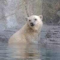 秋田夏旅2日目-男鹿線・道の駅オガーレ・男鹿水族館GAO-