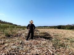 【キビ刈り援農隊で波照間島へ 2】キビ刈り生活始まる！島のゆったりした時間の中、充実した日々が過ごせました