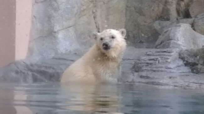 秋田夏旅2日目-男鹿線・道の駅オガーレ・男鹿水族館GAO-