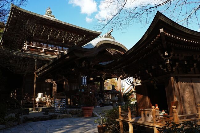 白鷺城と山陽地方を巡遊する年末年始12日旅 in 兵庫・岡山・広島・山口★2022-2023　10　8日目【宮島】