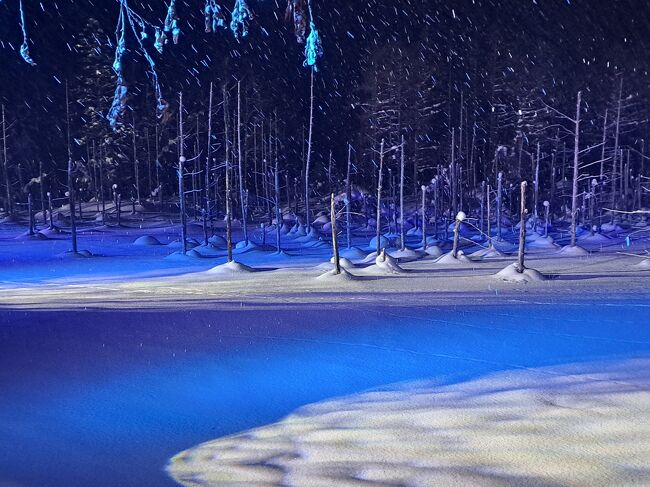 【2023年冬　北海道】4　ツアーで行くWinter Gardenと青い池のライトアップ