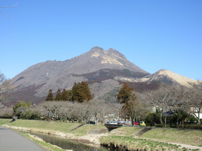 早春の湯布院と福岡、大宰府の旅　　前編　由布院<br /><br />家内が前々から湯布院と福岡市へ行きたいとの要望があり、梅花の時期でもあり、大宰府も入れて旅行計画を立てて実行しました。<br />行く前に家内はいつもミッションを旅行計画に入れるよう要請があるが、今回は下記の５点であった。<br />a)	由布院甘味茶屋で団子汁を食べる　<br />b)	玉の湯の喫茶ニコルでApple Pieを食べる<br />c)	福岡の朝食はダコメッカのパンを食べる<br />d)	福岡の昼食はShinShinと一双のラーメンを食べる<br />e)	大宰府ではかさの屋の梅が枝餅を食べる<br />このうち今回はb)のApple Pieが売り切れで食べられなかった。<br />また、個人手配の旅行の場合想定外が多く発生するが、今回も下記の如く色々ありました。<br />1)	全国旅行支援割引　、御宿ゆふいん亭（出発前に解決）<br />　御宿ゆふいん亭はじゃらんで湯布院人気ホテル第5位と言う事で、当初じゃらん経由予約を取ったが、出発の2日前にゆふいん亭に全国旅行支援割引について確認したところ、じゃらん経由ではなく直接宿に予約すると適用されると聞き、宿の方で直接予約に切り替え、じゃらんの方のキャンセルもしてくれることとなった。直ぐ後じゃらんのキャンセル条項に宿泊日の日前以降のキャンセルは50%のキャンセル料発生と書かれていることに気づき、直ぐその旨宿に電話すると、「宿からの請求無にはじゃらんからのキャンセル料は発生しない」ので問題なしとの回答を得た。実際支払いは宿代20%割引と２人で４千円分のデジタルクーポンを頂き、満足した。<br />2)	ゆふいんの森号ではなくゆふ73号で、我々の席の周囲は皆外人<br />　3月は日により、ゆふいんの森観光列車がメンテナンスの為か、お休みで、ゆふ73号の古い車両となった。<br />スマホの乗換案内ではゆふいんの森となっていたが、さすがにJR九州のサイトはゆふ73号となっており、<br />JR九州のサイトで指定席を予約した方が通常切符の自由席を買うより安く、ほぼ満席だったため、JR九州のネット予約をした。当日ゆふ73に乗ってみると満席で我々が予約した席に外人（フィリピン？）が2人既に座っていた為、Reserved Seatsと説明し、代わった。しかし、廻りも外人らしく暫く前と横の席で居た。横の席に韓国人の若い男女が来て、これまた追い出した。そのうち車掌が自由席車を指示したのか、後ろの方へ行った。<br />しかし、コロナが一息ついた為か、兎に角驚くことに我々の廻りで日本語は聞こえず外人が多かった。<br />3)	湯の坪街道を歩く人日本人より外人（主に韓国人）が多かった<br />4)	玉の湯の喫茶ニコルのApple Pie 16時前には売り切れで食べられず<br />5)	全国旅行割引不適用―都ホテル博多　（楽天トラベル経由の予約）<br />6)	大宰府往復バスの時刻「乗換案内の時刻が違う」<br />7)	大宰府の御本殿賽銭受付所修理中（この梅の時期に？）<br />8)	博多ラーメン一双の待ち時間2時間20分（我々として新記録）<br /><br />[これ以降は忘備録も兼ねて時間順に旅行内容を記載しておりますので、文章を読むのが面倒な方は写真を見てください。]<br /><br />この旅は3月の初旬としては異常に暖かく、晴天が続いた日に実施した。新神戸からのぞみ75で博多へ2時間15分で行き、凄い混雑の博多の緑の自動券売窓口でNet予約のゆふ73号（この週は観光列車「ゆふいんの森」号が点検か？無い）の指定乗車券をPick Upし、ゆふ73号の２号車8番ABへ行くと、アジア系の２人が座っていた。指定乗車券を見せReserved Seatと<br />言って座っている者を追い出した。周りも指定席と知らないアジア系外人の様で、隣CD席も後からスーツケースを持ってきた若い韓国人カップルに追い出され、自由席の４号車へ行ったようだ。しかし、コロナが収まりを見せたので外国から福岡に来て、湯布院へ行く人がこの列車内で多数を占めていた。この特急列車はゆっくりと2時間16分掛けてJR由布院駅に着いた。<br />JR由布院駅からスマホを見ながら南へ歩き、15分位で甘味茶屋に13時前に着いた。甘味茶屋は古民家を改造した店で、私はだんご汁を含む「ふるさと定食」、家内は「だんご汁と天むす小」を注文した。家内はふるさと定食の鳥の天婦羅が美味しいとの感想。次に荷物を預ける為、15分掛けて予約した「御宿ゆふいん亭」へ行きCheck Inと全国旅行割引のクーポン受領を期待したが、15時からCheck Inとの事で、荷物のみ預けて、宿での小休憩を忘れて湯の坪街道へと繰り出した。湯の坪街道は枯れた趣の<br />ある街と期待して行くと、鎌倉小町同様凄い人で混んでおり、且つ、聞こえてくる言葉が殆ど韓国語であった。店の様子も若い人向けで、<br />Floral Villageもセンスが良いとは言えない。膝の痛みが出て来たが、<br />金鱗湖（これも感心しない）まで歩いて引き返し、宿へ帰りCheck Inした。15分位部屋で休み、その間にスマホに地域クーポンをInputし（Digital Couponの為四苦八苦）、直ぐに玉の湯の喫茶ニコルへ向け出発。玉の湯は御三家だけあり、落ち着いた趣のある宿で感心したが、問題の喫茶ニコルでは「Apple Pieが売り切れで、喫茶も泊り客のみ」の貼紙があり、家内は落胆した様子。横に売店があり、お土産を買い、クーポン4千円分を全部使用した。玉の湯と亀の井別荘は宿泊予約が取れず、また、宿泊料金も夕朝食を含むと「御宿ゆふいん亭」の倍位になる。14室～16室の限定宿である。「御宿ゆふいん亭」も16室だが各部屋が離れ屋になっているのが特徴か。<br />室内大浴場は無いが、母屋の方に露天風呂があり、手前がぬるめ、向こう側が熱めであった。一人のみ露天風呂に入っており、先に出たので露天風呂の写真が撮れた。夕食は18時半開始が最終であったので、その時間でお願いして、露天風呂入浴の後、母屋にある受付に行き、母屋の受付横の建物の小部屋に案内された。各宿泊客が夫々別の部屋で食事をするシステムであった。ヘルシーなしゃぶしゃぶがメインのコースを予約したので、家内のような小食者向けと思いきや、かなり豪勢に食事が出てきて、私は満足。食後、部屋付の温泉に入った。タップで湯と水を入れる方式で、普通の部屋付バスタブが木枠付きで大きく、洗い場が付いている風呂である。近頃はやりのかけ流し温泉付き部屋（ふふ河口湖が該当）をもったいないと私は批判していたが、この宿の方式はエコでよろしい。<br />私の後、家内が部屋の温泉に入り、その後、湯の栓は閉じ、湯を抜いていたので、翌朝私は母屋まで少し歩き、露天風呂に入ってから、朝飯とした。<br />朝食は７時半から母屋側の昨夜と同じ部屋でカレイとアジを自分で焼く、<br />量も充分な和朝食で美味しく頂いた。この宿はコストパーフォーマンスが兎に角良いと言える。<br />当宿を8時半前にCheck Outし、12分掛けて駅まで歩き、8時50分に駅プラットホームに入り、9時7分発のゆふ2号（これも通常列車）に乗り、<br />博多へと向かった。沿線は胞子で赤くなった杉の木々が気になったが、<br />期待した沿線の景色は、列車の窓から見える渓流があまり無く、四国の<br />土讃線沿いの大歩危小歩危の方が綺麗だと思った。<br /><br />前半　大分由布院編　完　　Yorky<br />