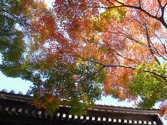 ２０２２年１１月　宇部市　蓮光寺　お寺カフェともう１回紅葉を見に行きました。