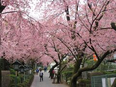 密蔵院