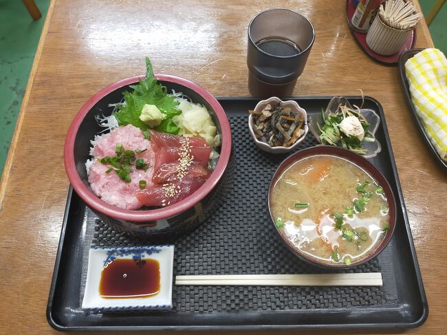 今年は花を見に行こうと決めて 梅見の第3弾として 府中郷土の森に行きました。<br />やっと到着して 入場券を買おうと 窓口に行ったら まさか梅が咲いてないとは思っていませんでした。<br />ネットで調べた時は 遅咲きが咲いている感じだったけど もう梅は終わったと言われました。<br />せっかく来たのに がっくりしました。<br />春は花粉のせいか とても疲れます。<br />気力も萎えて 博物館の外にある 物産市場だけ見て帰ることにしました。<br />前回来た時に 市場があったけど寄らなかったので 今回は 行ってみることにしました。<br />今回の旅の目的は ホテルで BS テレビを見ることだったので そちらは 目的達成です。<br />ホテルは 古いと思って 期待していませんでしたが 思ったよりも 部屋も広くベッドが広かったので 快適でした。<br />目的の BS テレビも 綺麗に写りました。<br />しかし wi-fi は とても遅かったです。