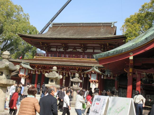 早春の湯布院と福岡、大宰府の旅  後半、博多＆大宰府訪問　(2&3日目)　