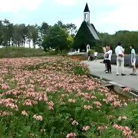 ひるがの高原 新穂高 郡上八幡城(回顧録)