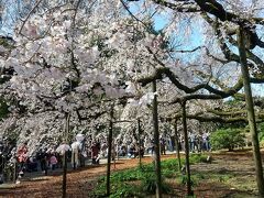 東京日帰り散歩～駒込・巣鴨