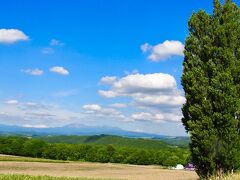 旅する車いす★富良野・美瑛日帰りの旅 美瑛編 絵葉書のような丘を巡る