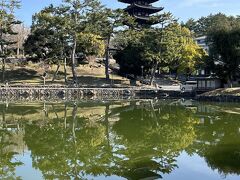 いにしえの奈良の都の八重桜２