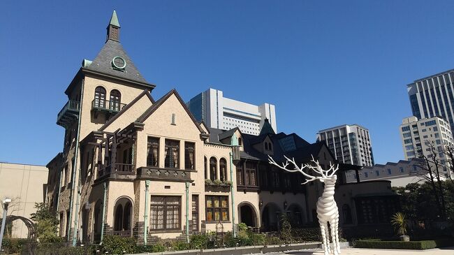 またいつもの、出社がてらのヌン活(ランチ)にいってきました~<br /><br />赤坂プリンス クラシックハウス内・La Maison Kioi<br />ついついおしゃべりに夢中になってしまい、、写真と感想は少なめですが^^;<br />時期柄、チョコレートストロベリーでした。<br />落ち着いたクラシカルな建物でいただく割と正統派で外れのない美味しいスイーツ&ウェルカムドリンクとしてビネガージュースがあったのもうれしかったです♪<br /><br />また、別日で進級祝い?私と息子はフカヒレ好きなので蔭山楼の姿煮を食べに行きたいなとずっと思っていて、、表参道ヒルズの店舗にランチでいってきました。<br /><br /><br />