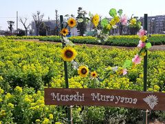 一人歩き・菜の花ガーデン