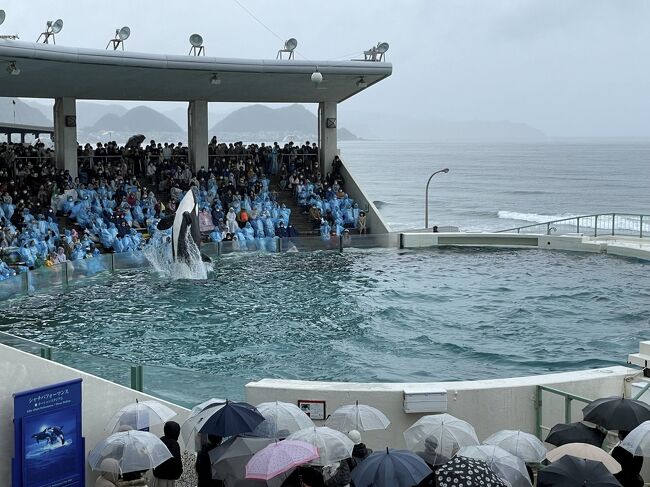 仔猫といっしょ計画（千葉旅行２０２３　１日目 鴨川編）