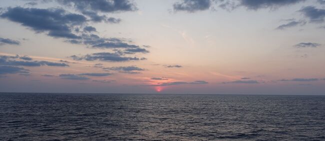 旅行会社のツアーで小笠原諸島に行きました。おがさわら丸に乗って、島内観光をして、帰ってくるという定番旅行です。<br />まずは、おがさわら丸に24時間乗って父島へ