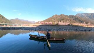 種まき権兵衛の里の河津桜を川から眺めてきました