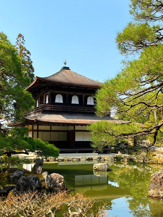 下賀茂神社<br />↓<br />銀閣寺<br />↓<br />祇園四条でランチ