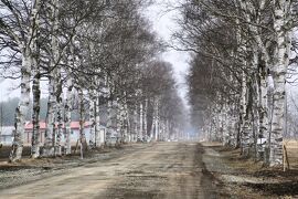 おいしい、楽しい、美しい！とかちのだいち　北海道の旅　春の陣2023【帯広編】②